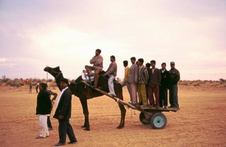 camel-festival.JPG