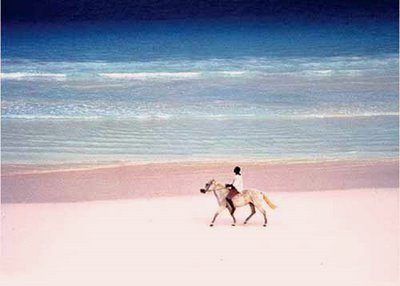 pinkbeach.jpg